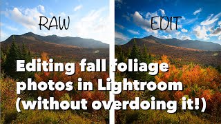 Editing fall foliage photos in Lightroom (without overdoing it!)