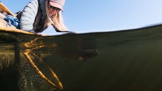 Fishing BC Presents: Late Fall Fishing in BC's South Cariboo with Paula Shearer