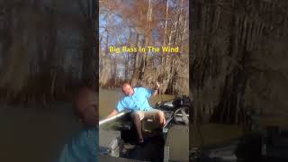 Big Bass In The Wind