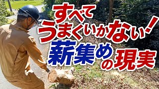 全然ダメだ！これが原因で斜面から薪が上げられない！