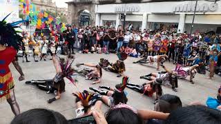 Holloween Guadalajara Catedral