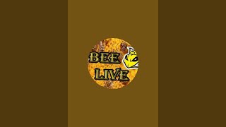 Bee Live überträgt einen Livestream.