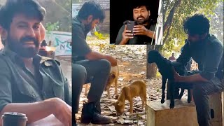 SEE Ram Charan Love Towards Animals | Ram Charan Chiranjeevi Lovely Moments on Acharya Sets | Songs