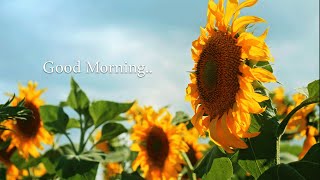 GOOD MORNING MUSIC - Positive Energy and  Stress Relief - Morning Relaxing Music For A Positive Day