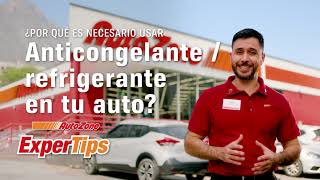 ¿Por qué es necesario usar Anticongelante/refrigerante en tu auto? | ExperTips AutoZone