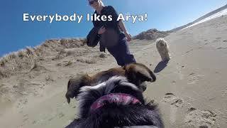 Arya Cam at Dillon Beach