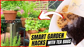 6 Genius Ways to Use Tea Bags in the Garden (No Way That’s Works)