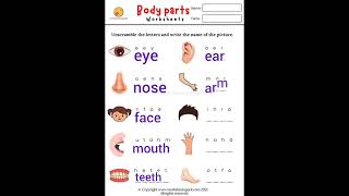 Worksheet :body parts name worksheet*unscramble word for kids