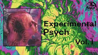 Experimental Psych Vol 1.