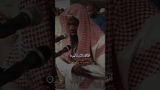 Sheikh Okasha Kemeny  So Beautifull Quran Recatition #quran #short