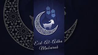 Bakra eid Mubarak Qurbani Mubarak #bakraeid #viral