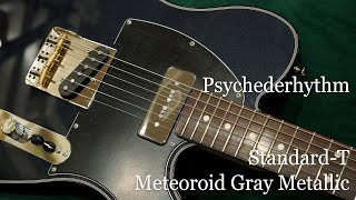 White Guitars - Psychederhythm / Standard-T - Meteoroid Gray Metallic