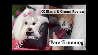 Maltese Grooming:  Trimming the Paw Hair ~ Bravura BravMini Tutorial  - Tear Stain Cleaning - GoPro