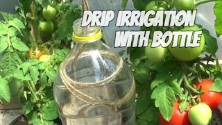 How To Make a Drip Irrigation System with Bottle