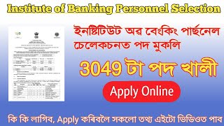 IBPS New Vacancy 2023 || ইনষ্টিটিউট অৱ বেংকিং পাৰছনেল চেলেকচন || ৩০৪৯ টা পদ খালী