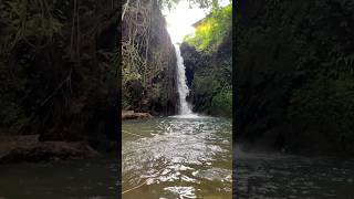 Unexplored small waterfall near Goa #nature #goa #peace #selflove #shorts