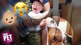 Dog & Baby Cry Together 😢 🐶 | Funny Pet Compilation