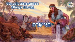 Chayai Sarah | “The Life of Sarah” Torah Portion