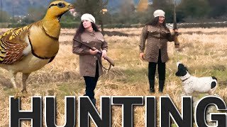 Professional hunting of wild birds in nature