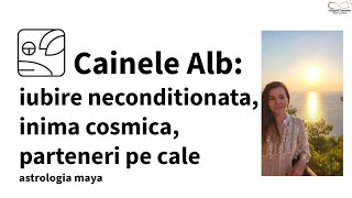 Câine Alb, astrologia maya: iubire necondiționată, inimă cosmică, parteneri pe cale