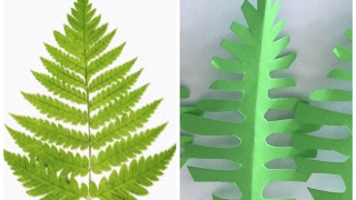 DIY|| Paper fern leaves tutorial