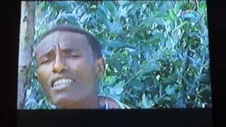 Ethiopian TV