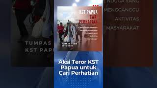 Aksi Teror KST Papua untuk Cari Perhatian