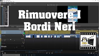 Come Eliminare Bordi Neri Da Un Video GRATIS! | TUTORIAL 2020