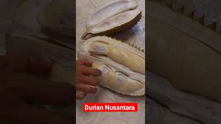 Nyoba Durian Nusantara #shorts #kuliner