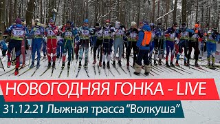 Новогодняя Гонка - LIVE. Лыткарино лыжная трасса "Волкуша" 31.12.21