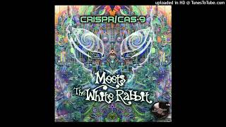 Crispr​/​Cas​-​9 - Meets the White Rabbit