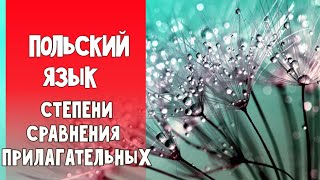 50 Степени сравнения прилагательных. Польский язык.