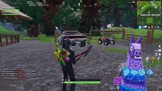 Fortnite funny wins and 2 glitched Llamas!