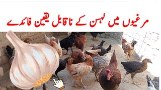 Poultry Main Lasan Ke Faide  || Unbelievable Benefits Of Garlic