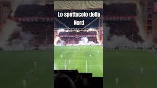 GENOA LO SPETTACOLO DELLA NORD #genoa #football #shorts_video #calcio #calcio #shortvideo