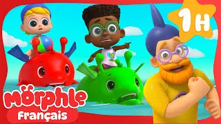 Morphle est un requin | Morphle en Français | Dessins Animés Pour Enfants