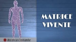 MATRICE VIVENTE: Tutto connesso tra uomo e universo