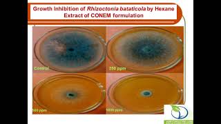 cow urine treatment for organic farming