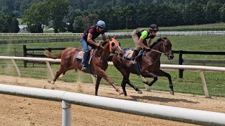 Sever (blinkers) and Falcon Blue breeze a 1/4 on 8/14.