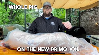 Whole suckling pig on Primo XXL