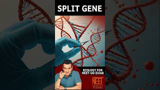 SPLIT GENE | concept of introns and Exons | class 12th Molecular Biology for NEET | #neet #science