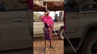 How the Maasai Brush their Teeth with the Toothbrush Tree