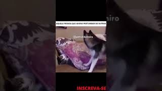 ANIMAIS FALANTES  -  AQUELA PESSOA QUE GOSTA DE PERTURBA - KKKK  #SHORTS