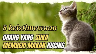 Keajiban memberi makan kucing!! 8keistimewaan suka memberi makan kucing