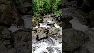 tungareshwar Mahadev waterfall Vasai 🏞️🕉️🛕🙏🚩#tungareshwar #mahadev #waterfall #vasai