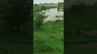 💞💞 सिटी पार्क 🥰 डब्ल्यू टिपी छोरी मारा राज  में देखी 🏞️⛲⛲ amazing shorts video