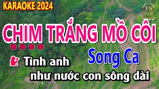 Karaoke Chim Trắng Mồ Côi Song Ca Nhạc Sống | Sinh Nguyễn Karaoke | Đan Trường - Cẩm Ly