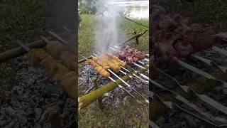 Kür qırağı piknik / Azerbaijan / təbiət adamı