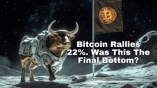 The Daily Update - Bitcoin Rallies 22%. Was This The Final Bottom?