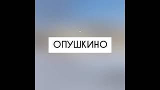 Дом в загородном посёлке около Лесной остров